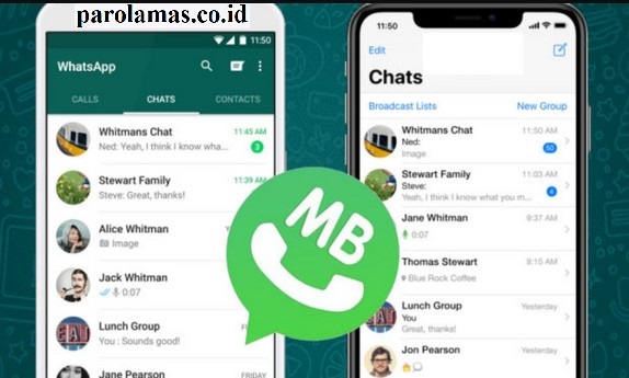 Cara-Install-MB-WhatsApp-Apk-Di-Android-Dan-iOS 
