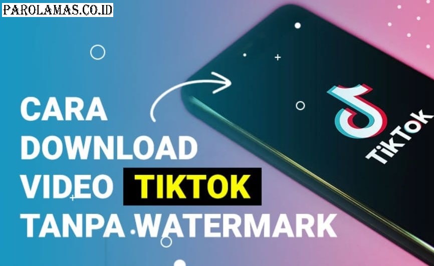 Download-Video-TikTok-Tanpa-Watermark-APK