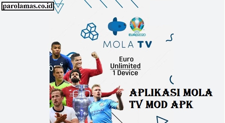 Aplikasi-Mola-TV-Mod-Apk